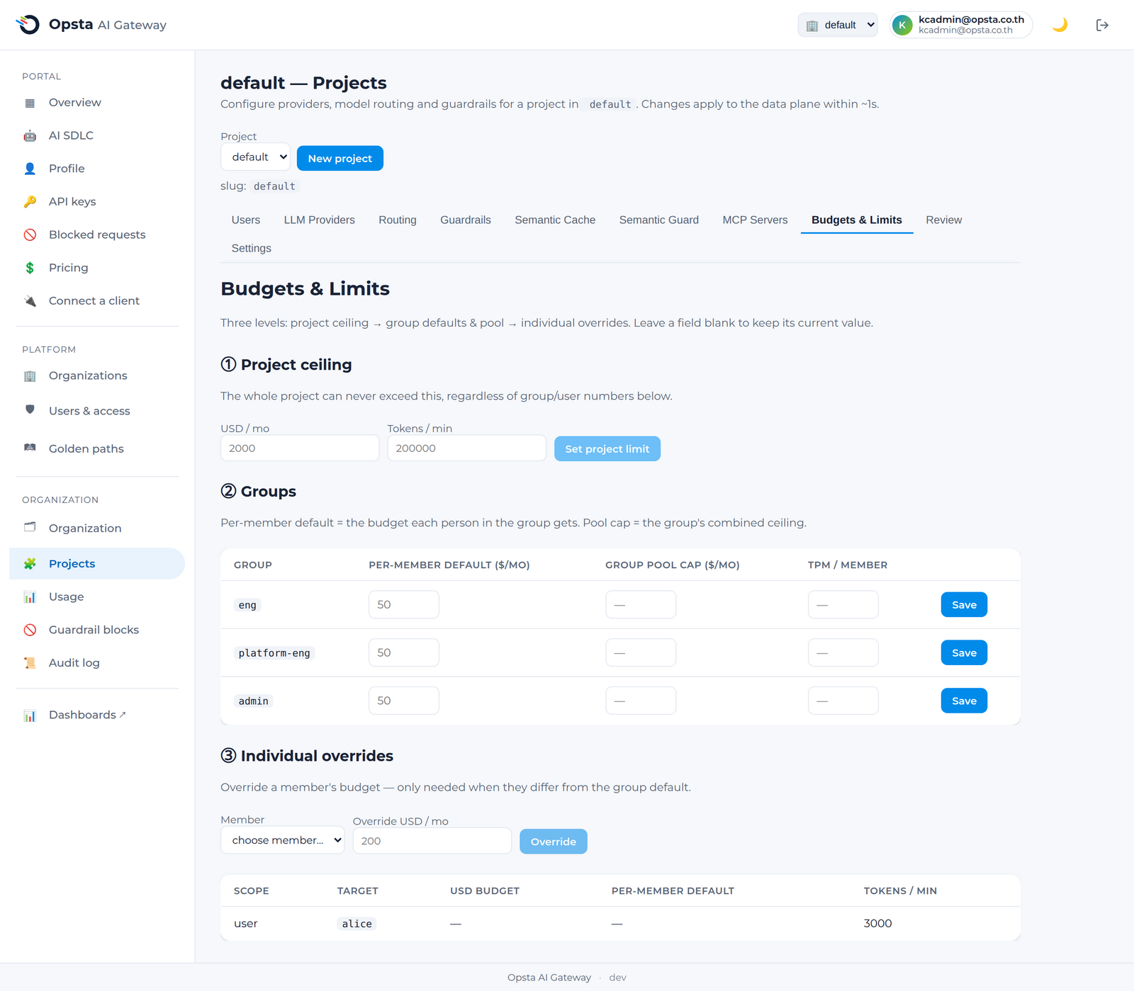 The Budgets & Limits tab — project ceiling, group defaults, and per-user overrides